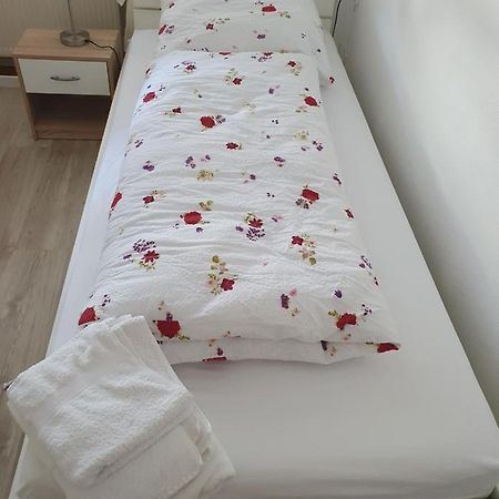 Privatzimmer An Der Universitaetsklinik Mainz. Sehr Zentral Luaran gambar