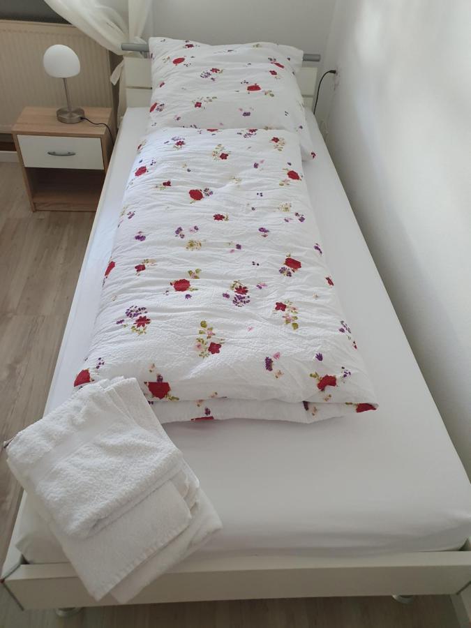 Privatzimmer An Der Universitaetsklinik Mainz. Sehr Zentral Luaran gambar
